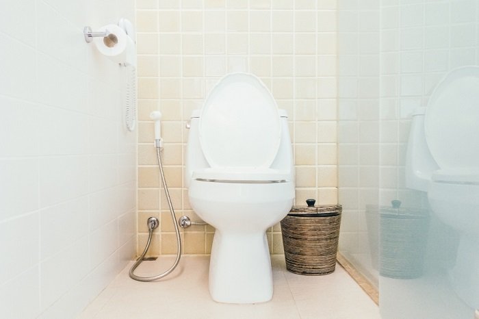 5 Cara Mengatasi WC Mampet Karena Plastik